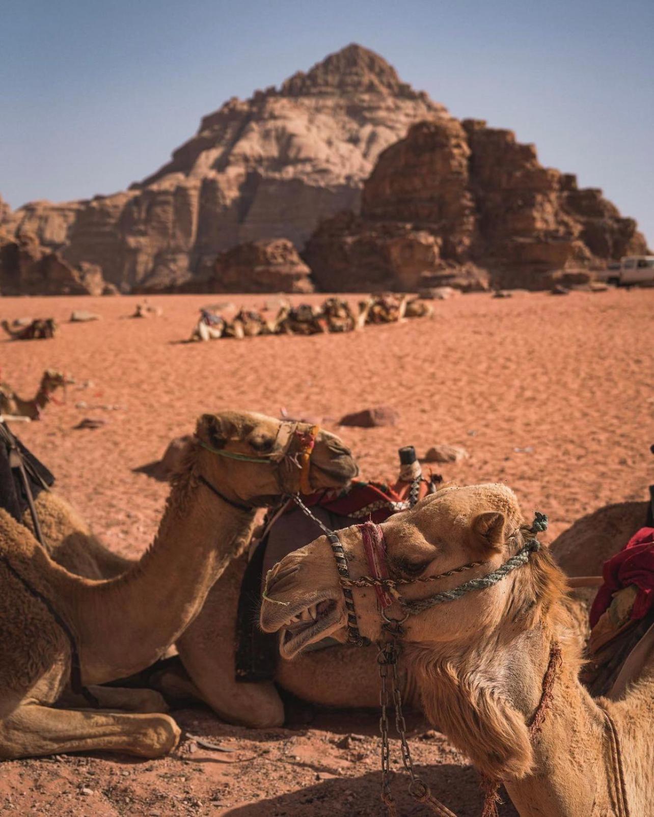 Rum Magic Luxury Camp Wadi Rum Exteriér fotografie