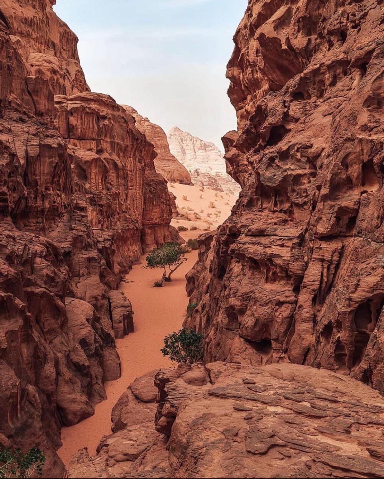 Rum Magic Luxury Camp Wadi Rum Exteriér fotografie